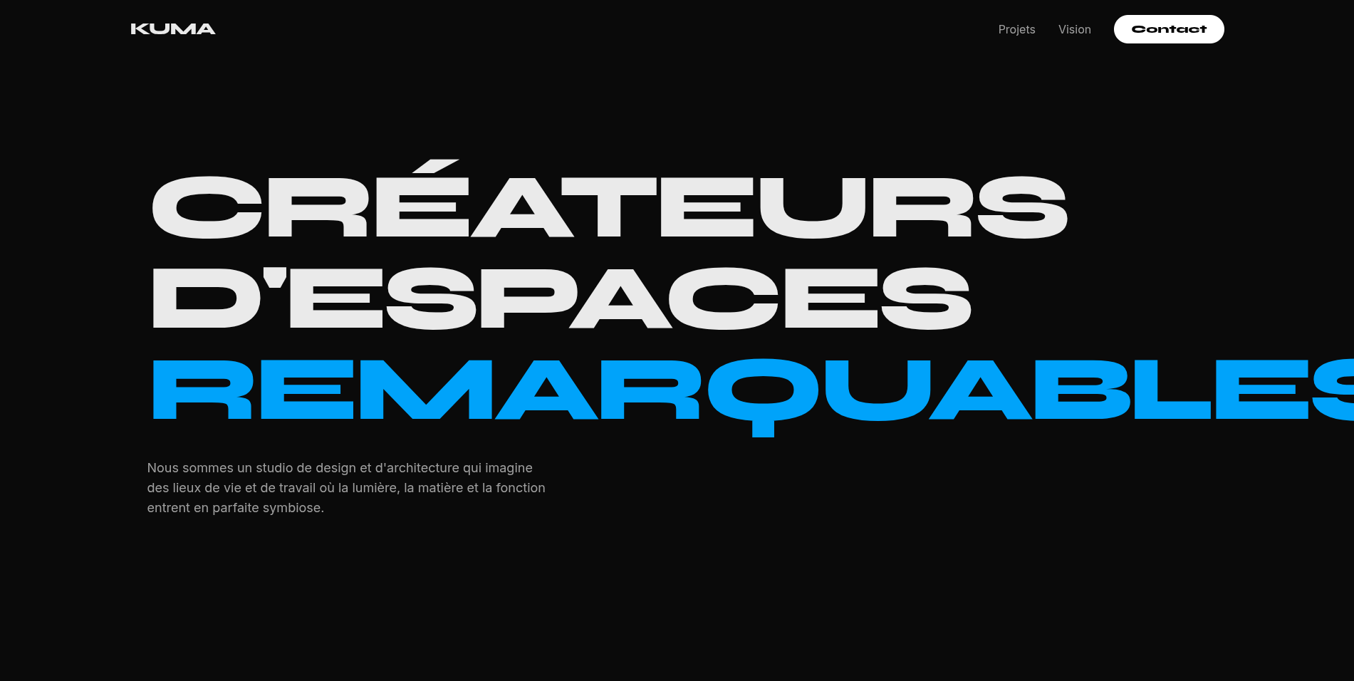 Aperçu du site Premium